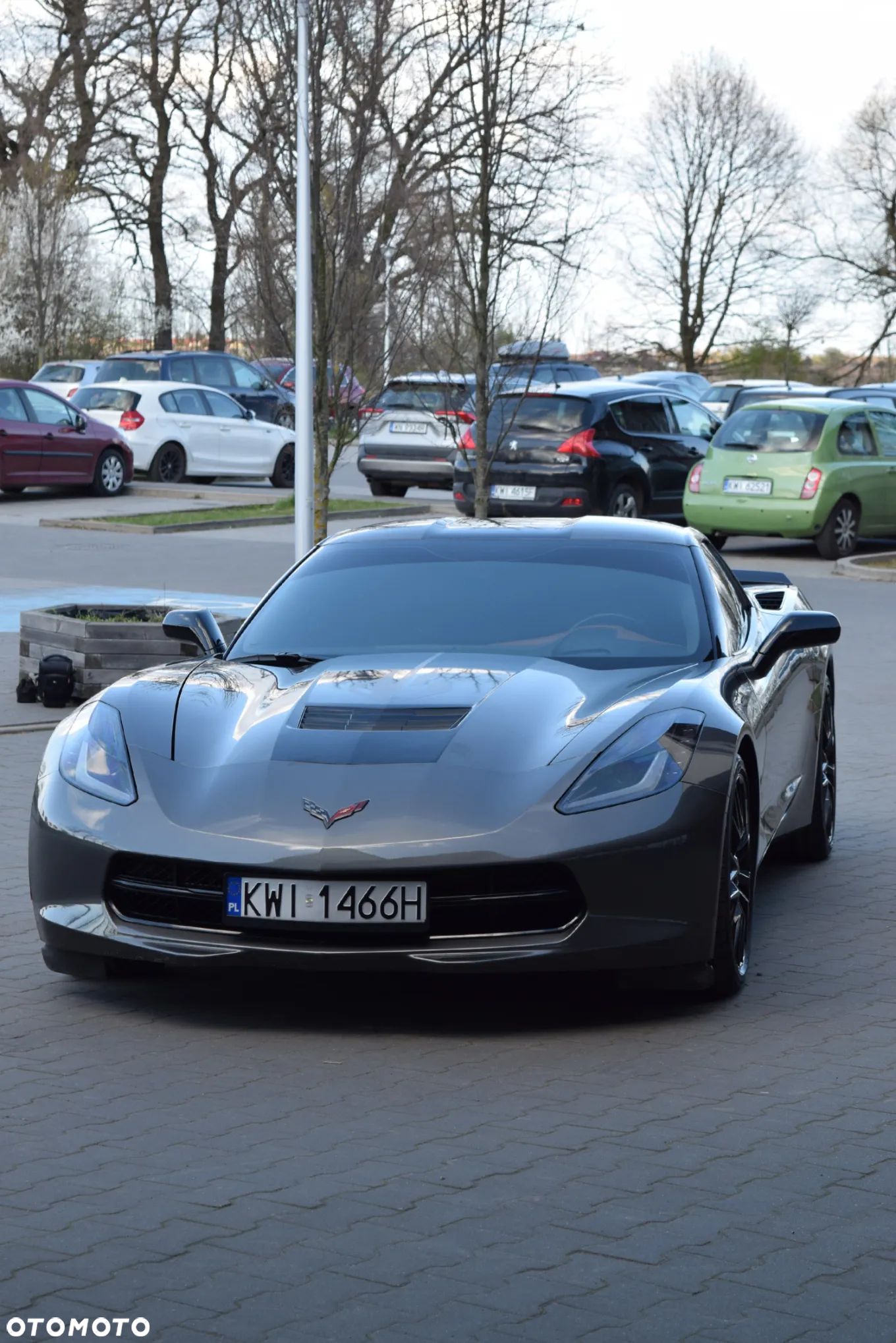 Chevrolet Corvette Stingray 3LT 6.2 V8 Automatik - 1