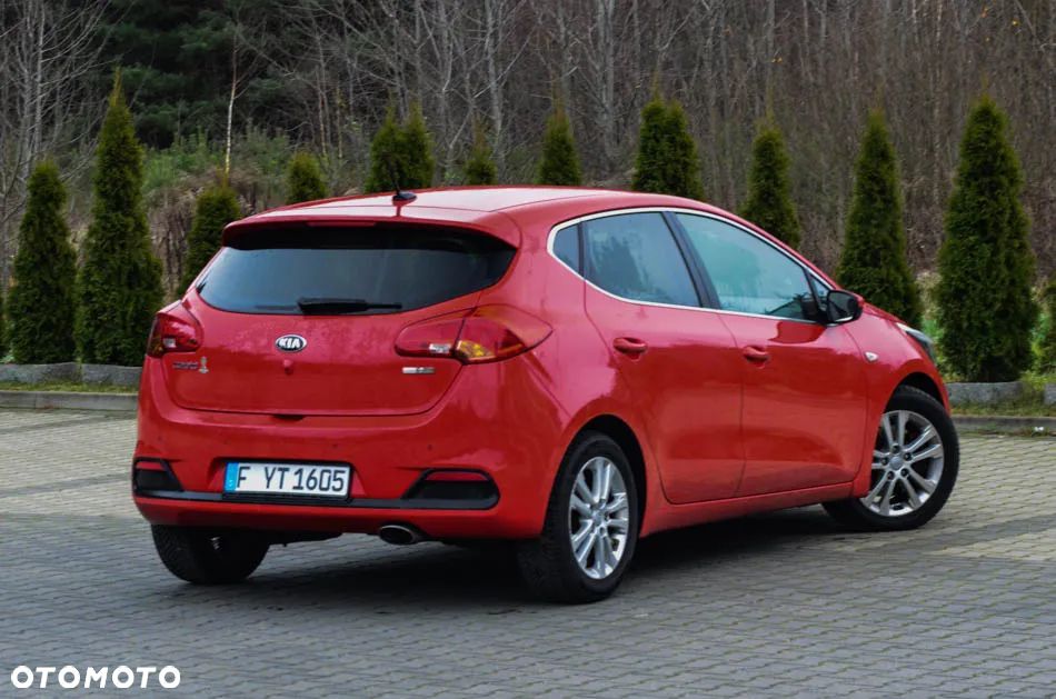 Kia Ceed 1.6 CRDi 128 Fifa World Cup Edition - 14