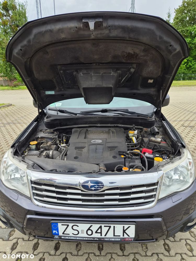 Subaru Forester 2.5 XT 000 - 11