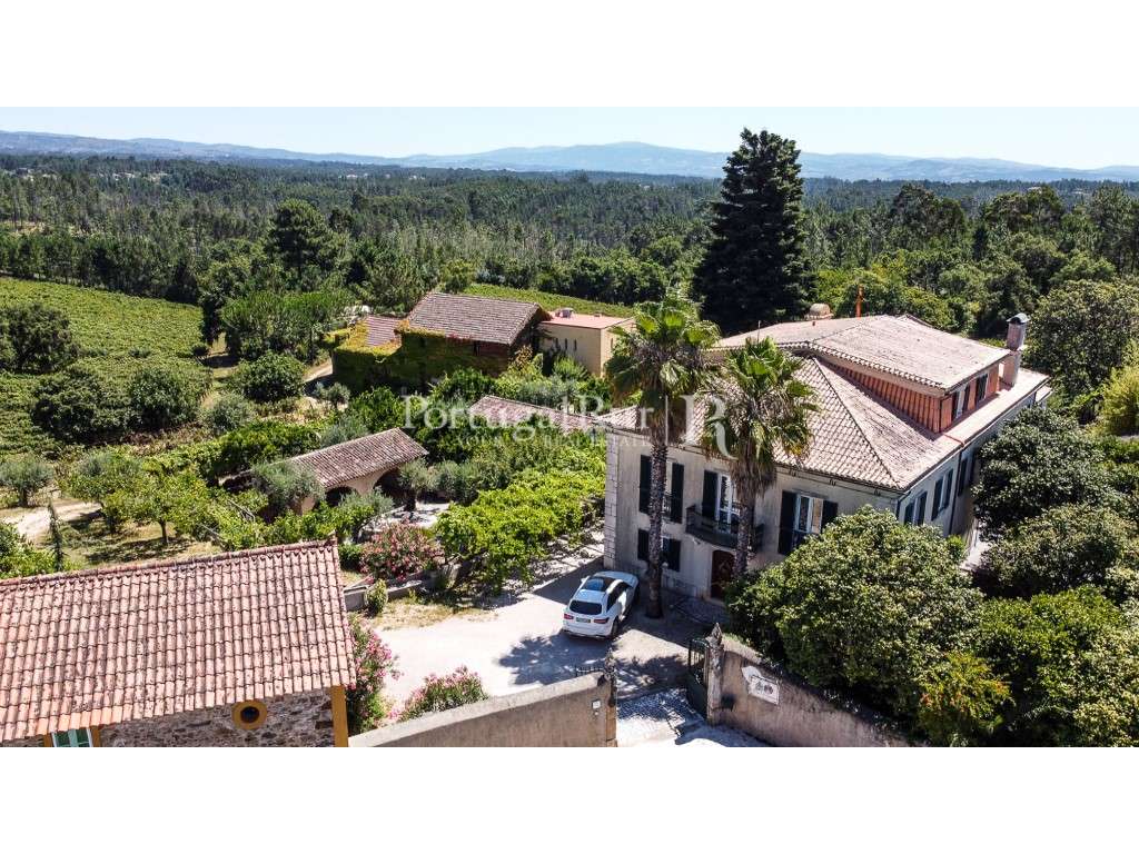 Quinta senhorial de 1754 para turismo rural com vinícola premiada - Grande imagem: 2/60