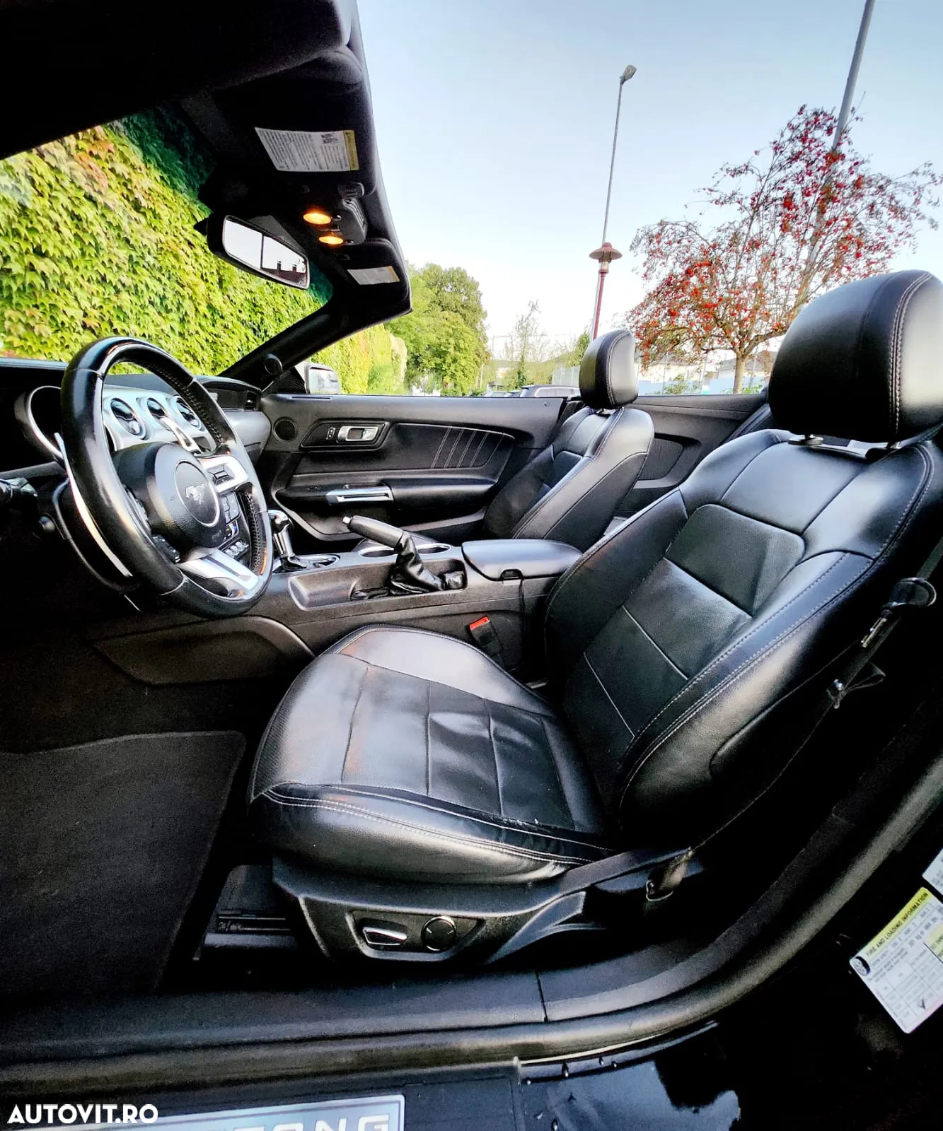 Ford Mustang Cabrio 2.3 Eco Boost - 5