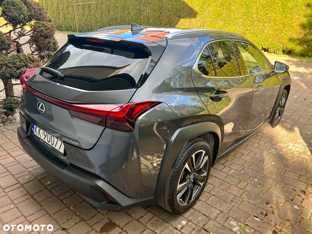 Lexus UX 250h GPF Business 2WD - 6