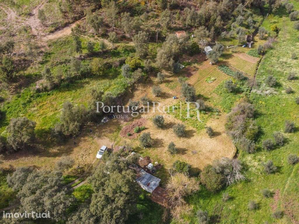 Terreno para construção em Proença-a-Nova. - Grande imagem: 4/11