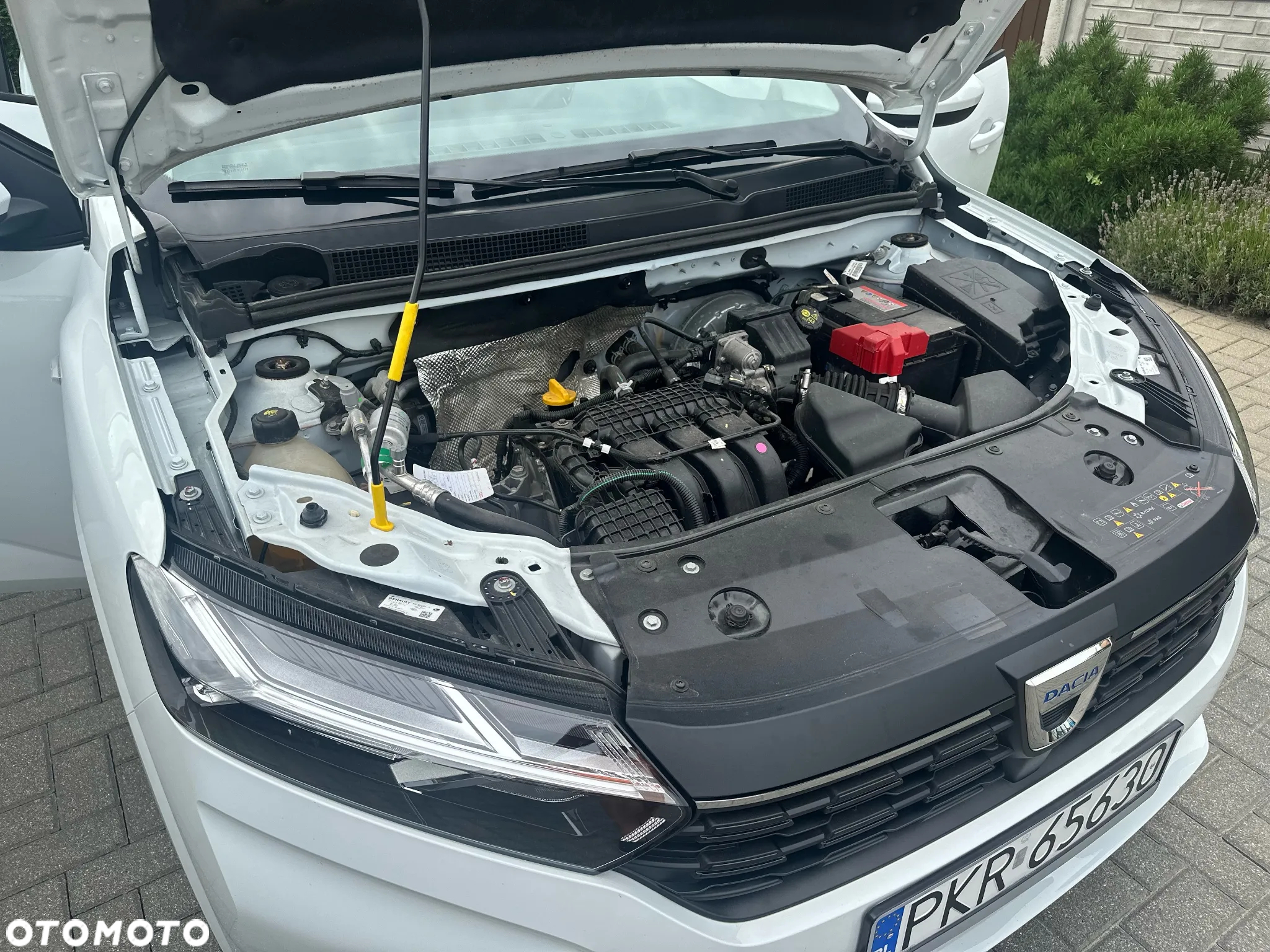 Dacia Sandero SCe 65 Essential - 19