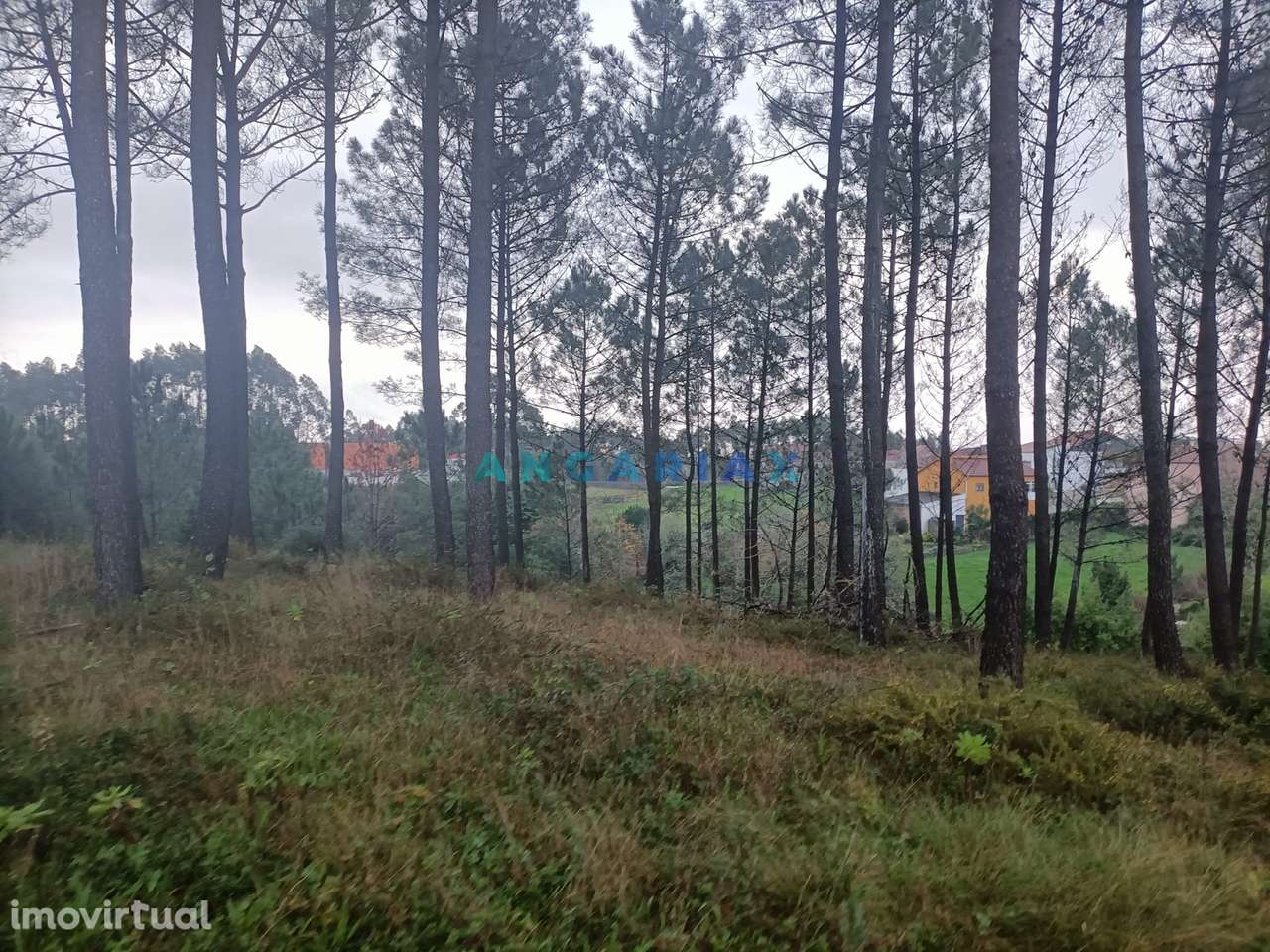 ANG1577 - Terreno para Venda em Santa Catarina da Serra - Grande imagem: 4/10