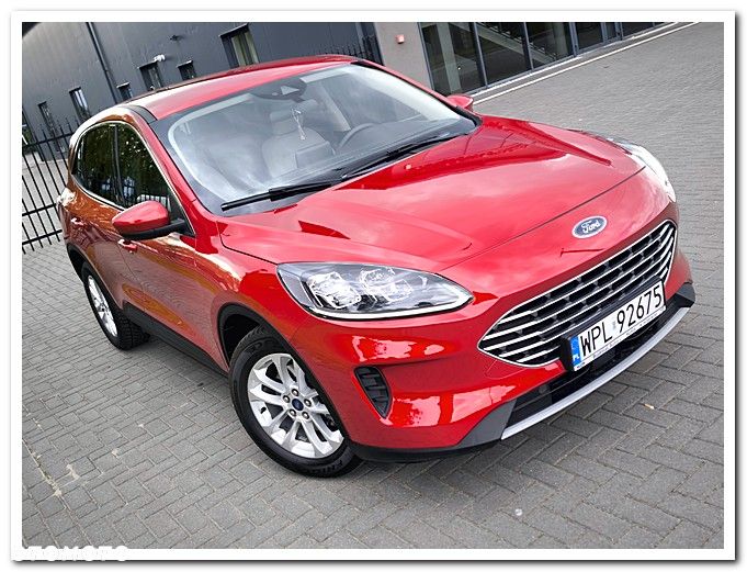 Ford Escape - 4