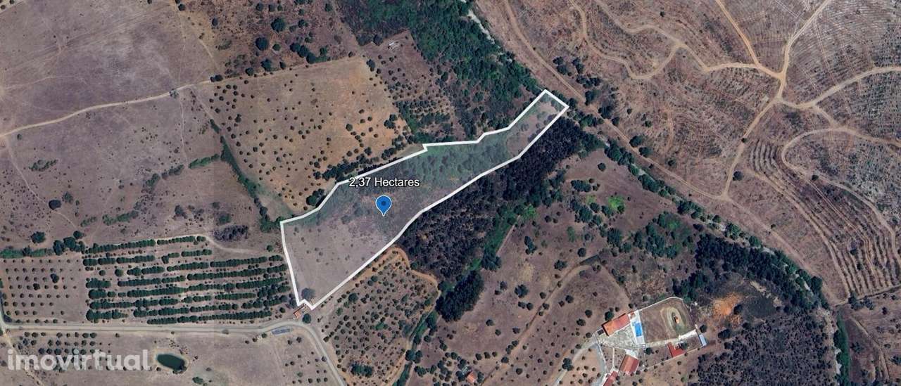 Propriedade Alentejana com 2,37 Hectares – Vale de Junco, Alter do Chã - Grande imagem: 4/4
