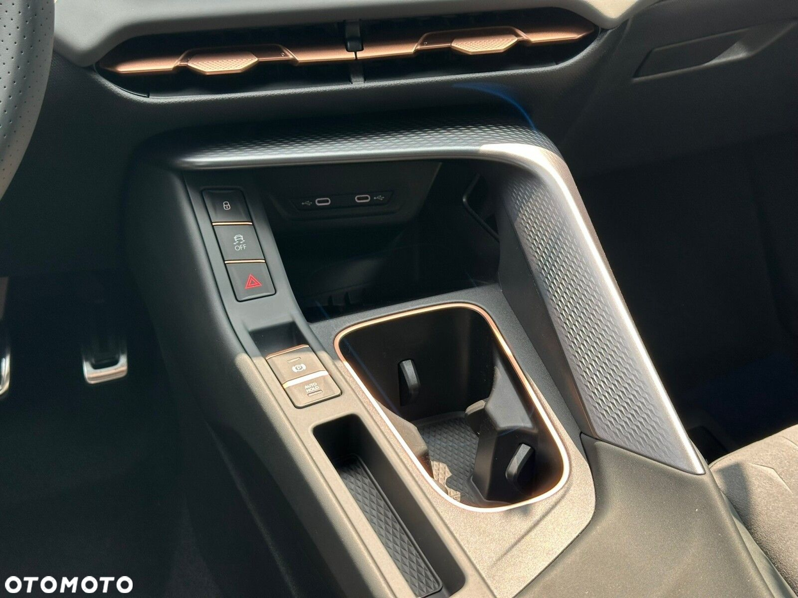 Cupra Terramar - 20