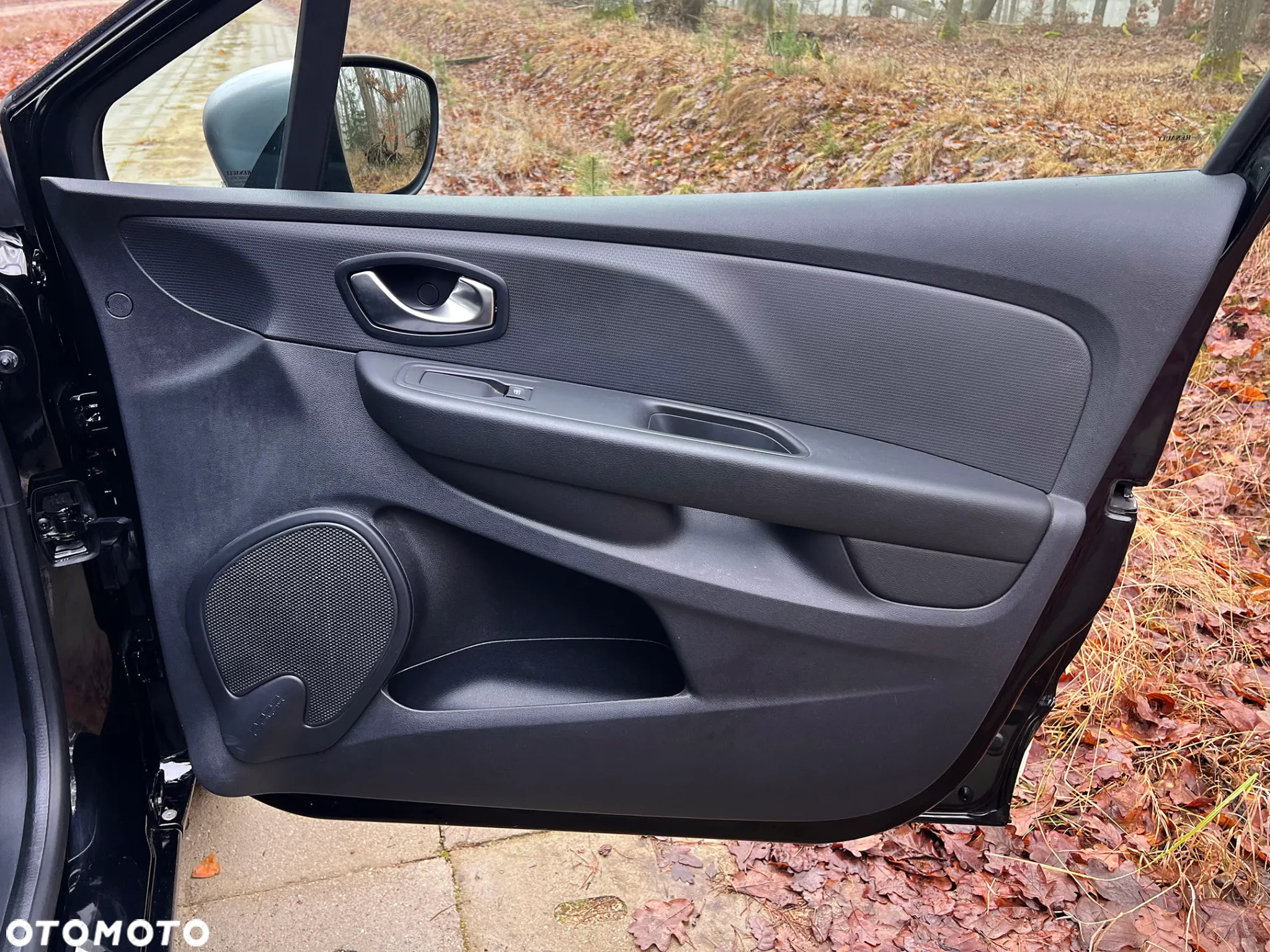 Renault Clio - 24