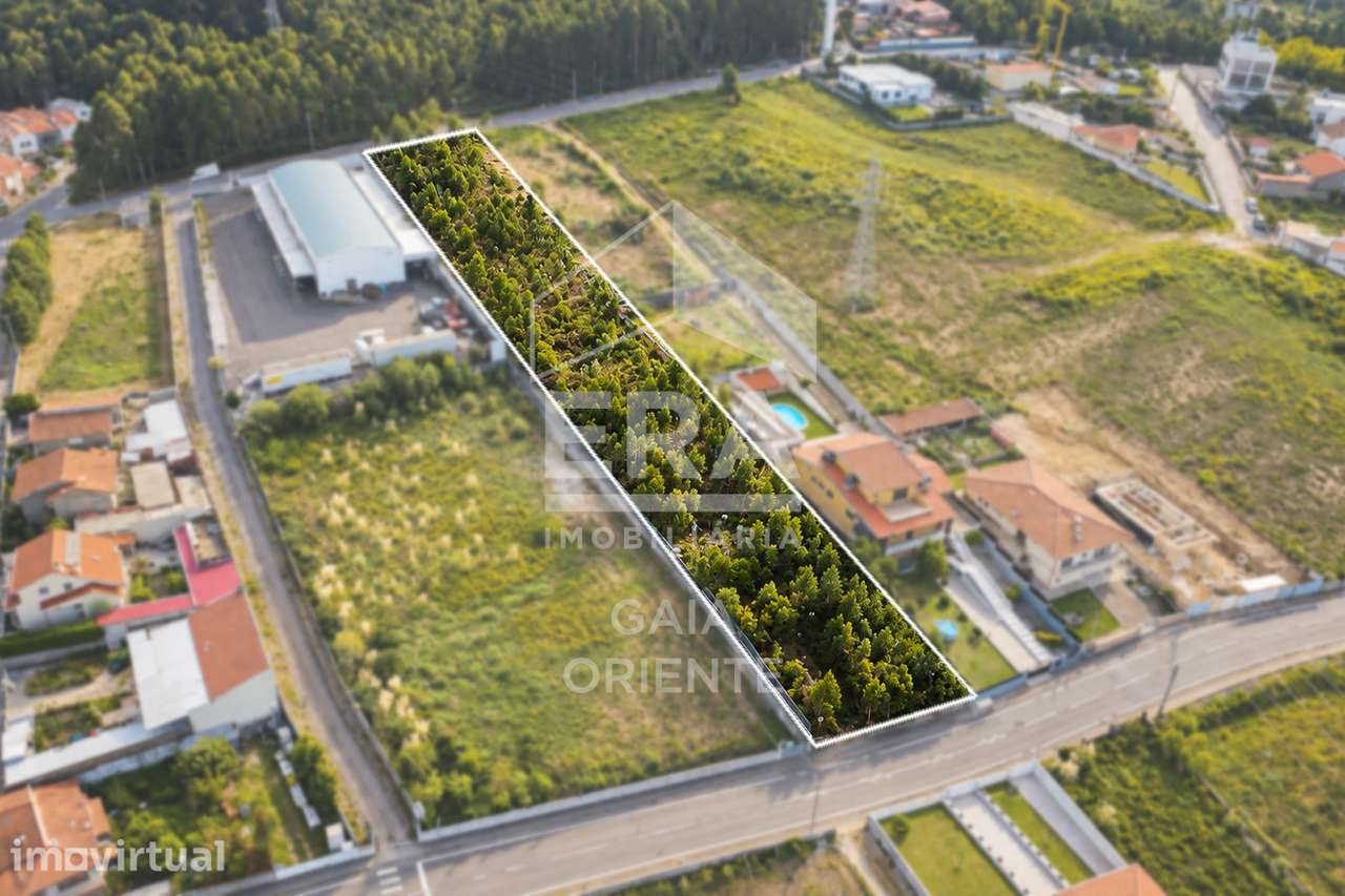 Terreno de 4.070 m² com Potencial Construtivo - Grande imagem: 3/8