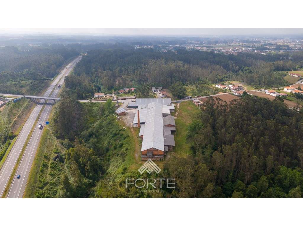 Armazém destinado a indústria, São João de Ovar - Grande imagem: 4/37