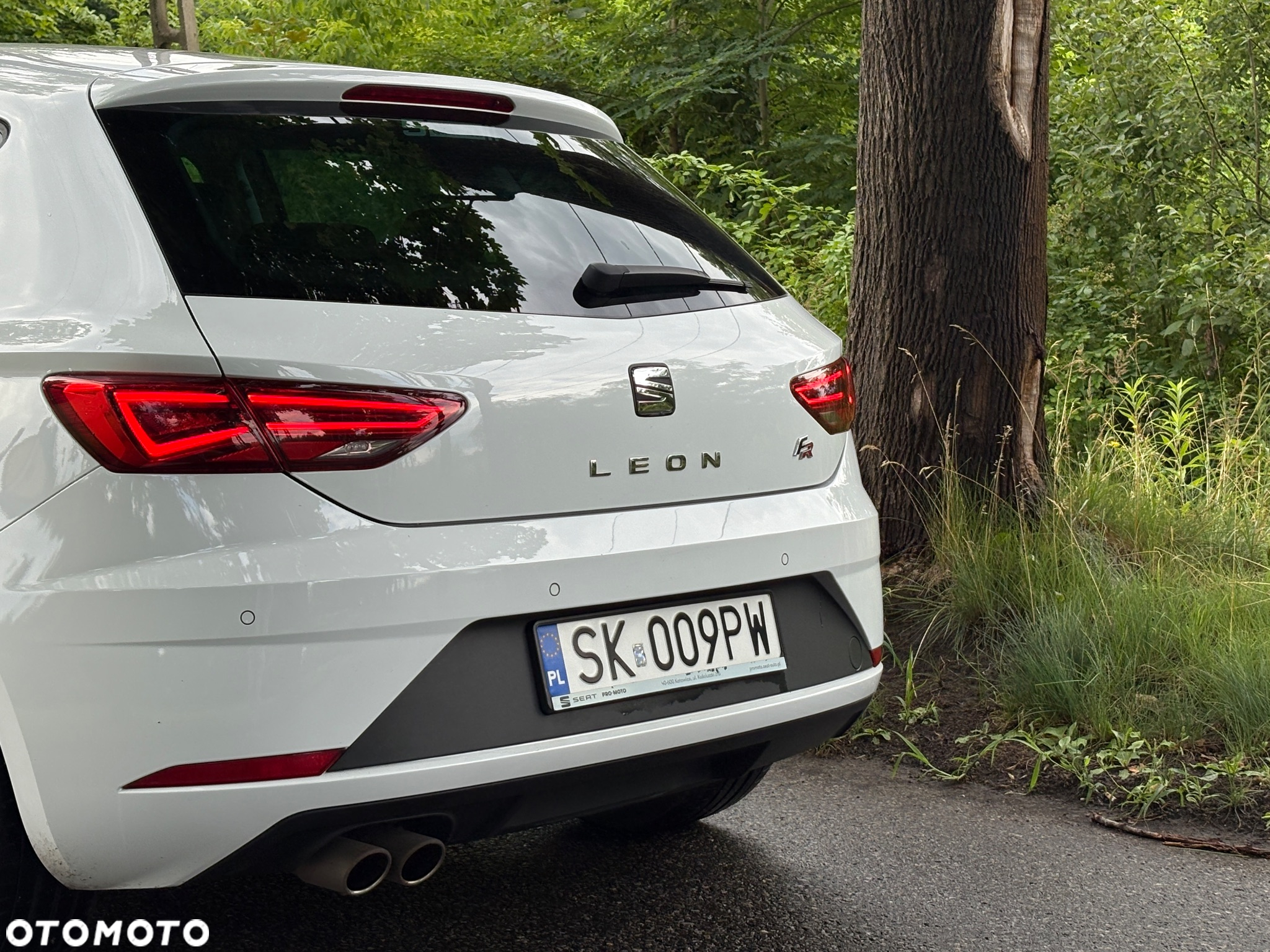 Seat Leon 1.5 EcoTSI Evo FR S&S DSG - 10