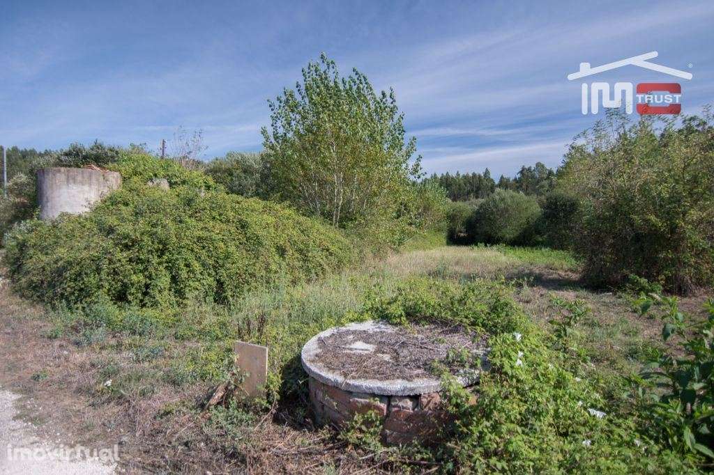 Terreno com 550 m2 Carvalhinho Albergaria dos Doze - Grande imagem: 5/6