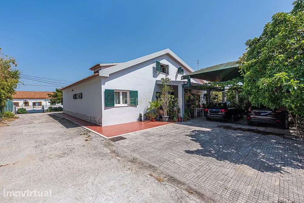 Quinta Exclusiva com Duas Moradias, Piscina e Pomar com Frutas Exótica - Grande imagem: 3/43