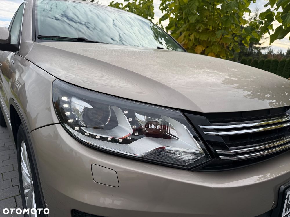 Volkswagen Tiguan - 10