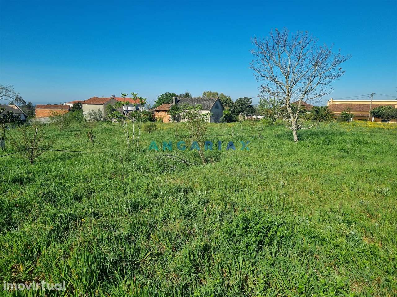 ANG1569 - Terreno para Venda em Colmeias, Leiria - Grande imagem: 4/13