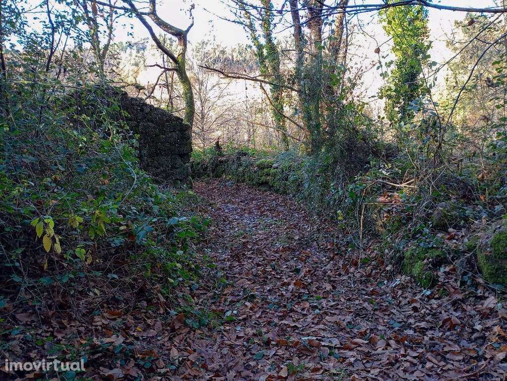 Quinta c/ Ruína - Mosteiro - Grande imagem: 5/23