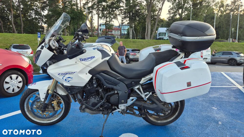 Triumph Tiger - 5