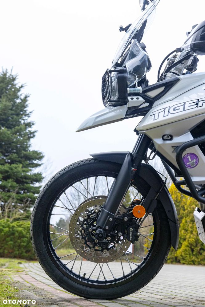 Triumph Tiger - 10