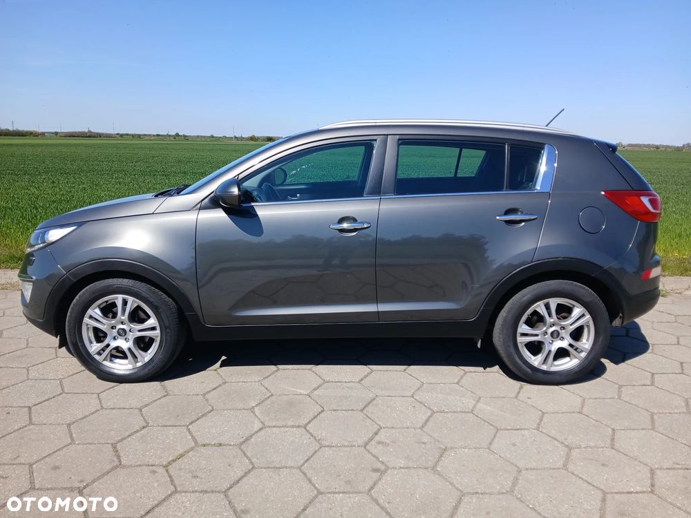 Kia Sportage - 38