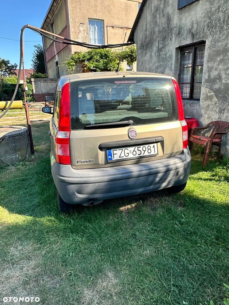 Fiat Panda 1.1 Active Eco - 3