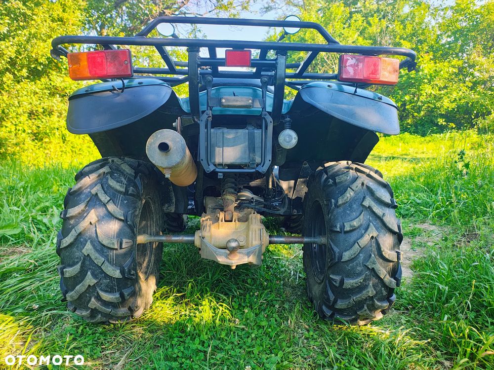 Kawasaki Brute Force - 6