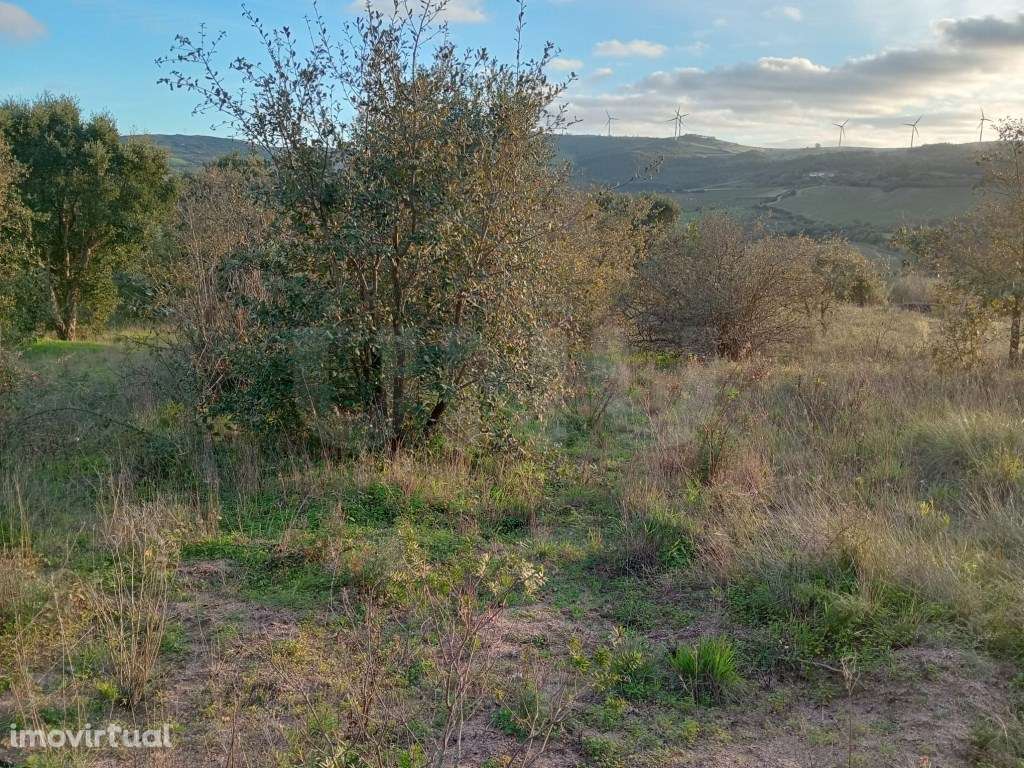 Terreno rústico para venda, Runa, Torres Vedras - Grande imagem: 4/9