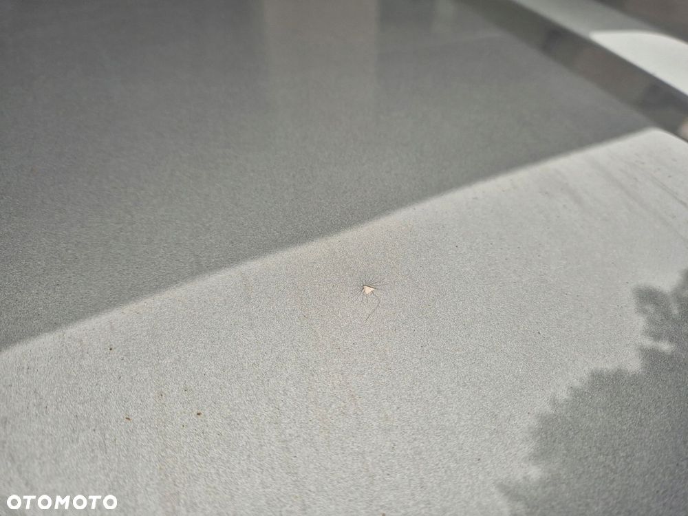 maska jaguar xk x150 - 2