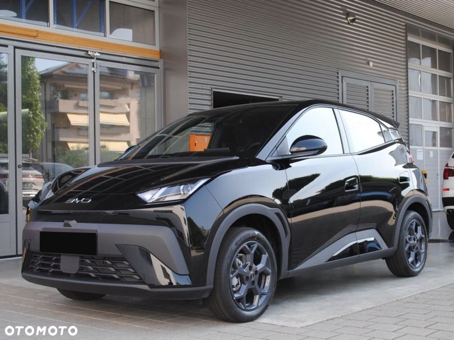 BYD Dolphin Surf - 2