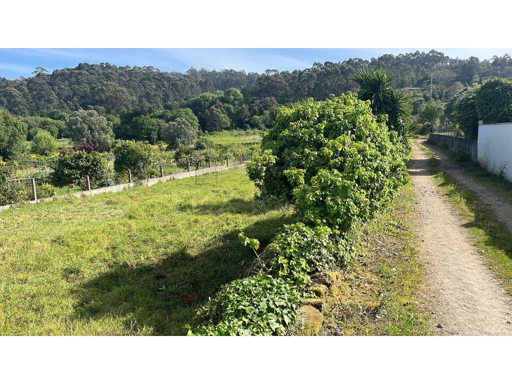 Terreno para construção em Antas, Esposende - Grande imagem: 3/5