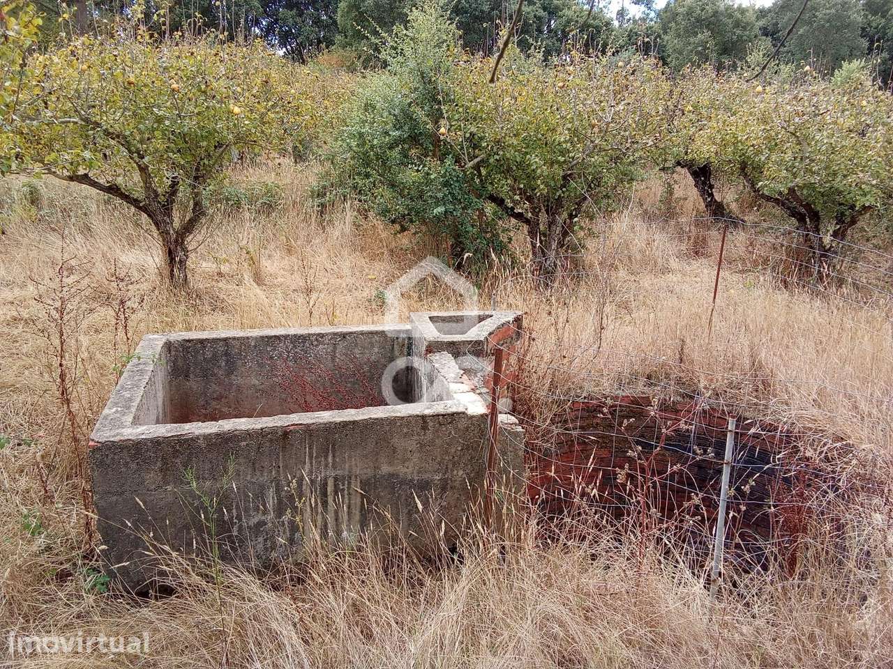 Fantástico terreno agrícola, localizado na freguesia de Roliça, no con - Grande imagem: 4/27