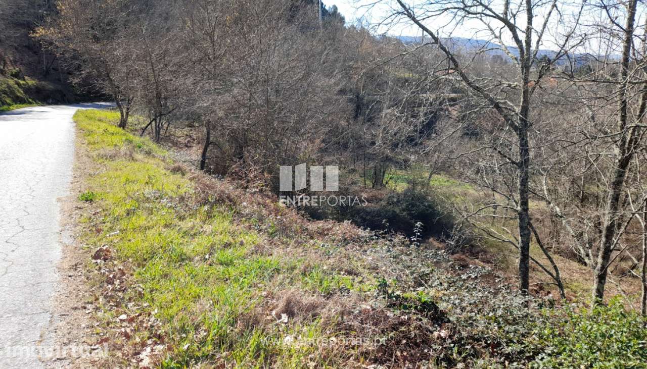 Venda Terreno, São Simão, Amarante - Grande imagem: 2/19