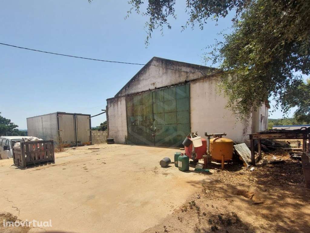 Herdade, Santiago Cacém, Cercal Alentejo - Grande imagem: 5/35