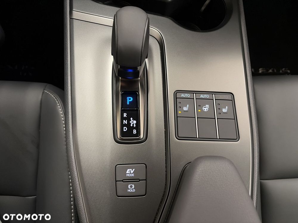 Lexus UX 300h F Sport Design - 19