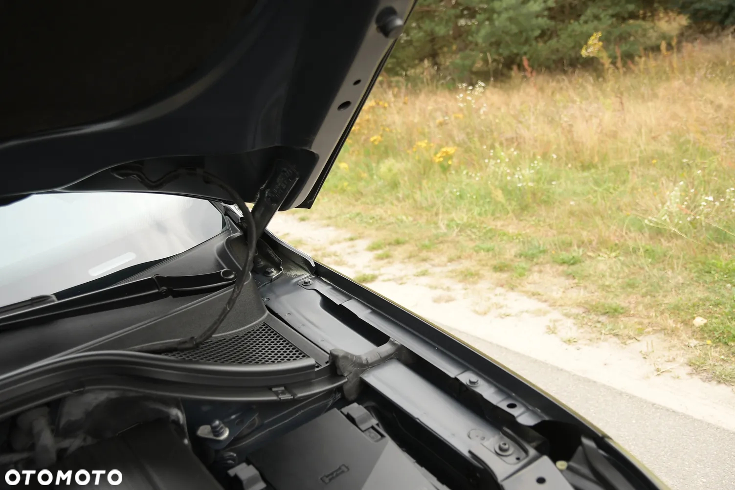 Volkswagen Tiguan - 38