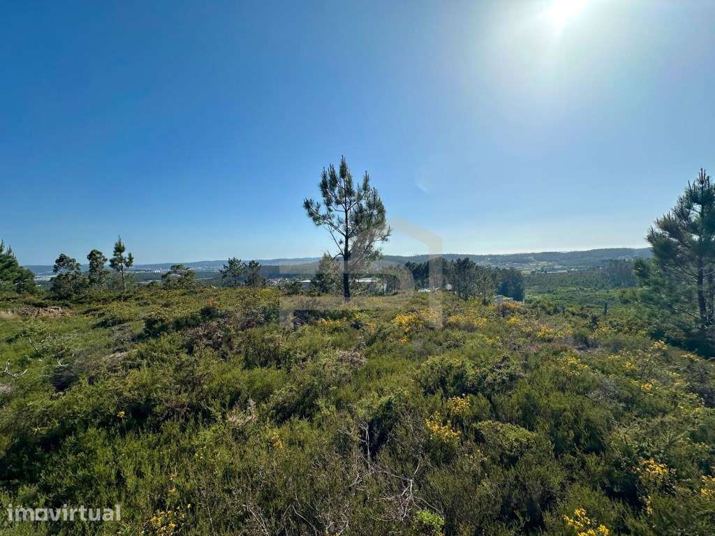 Vende-se terreno industrial em Vilarinho das Cambas, com 9500 m2. - Grande imagem: 5/8