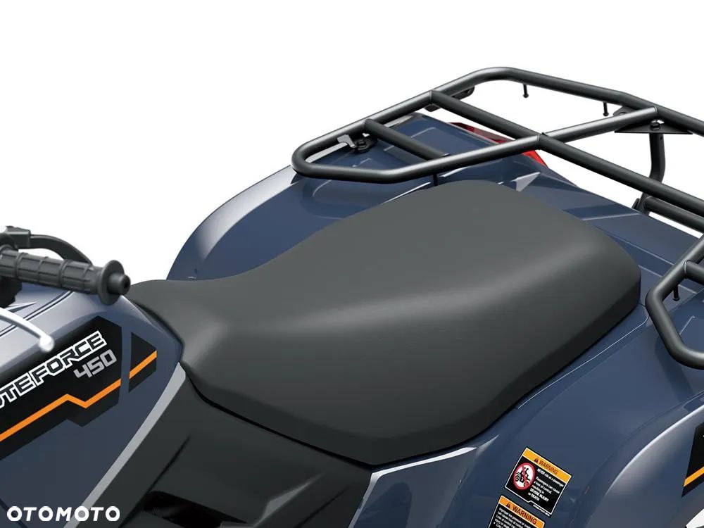Kawasaki Brute Force - 9
