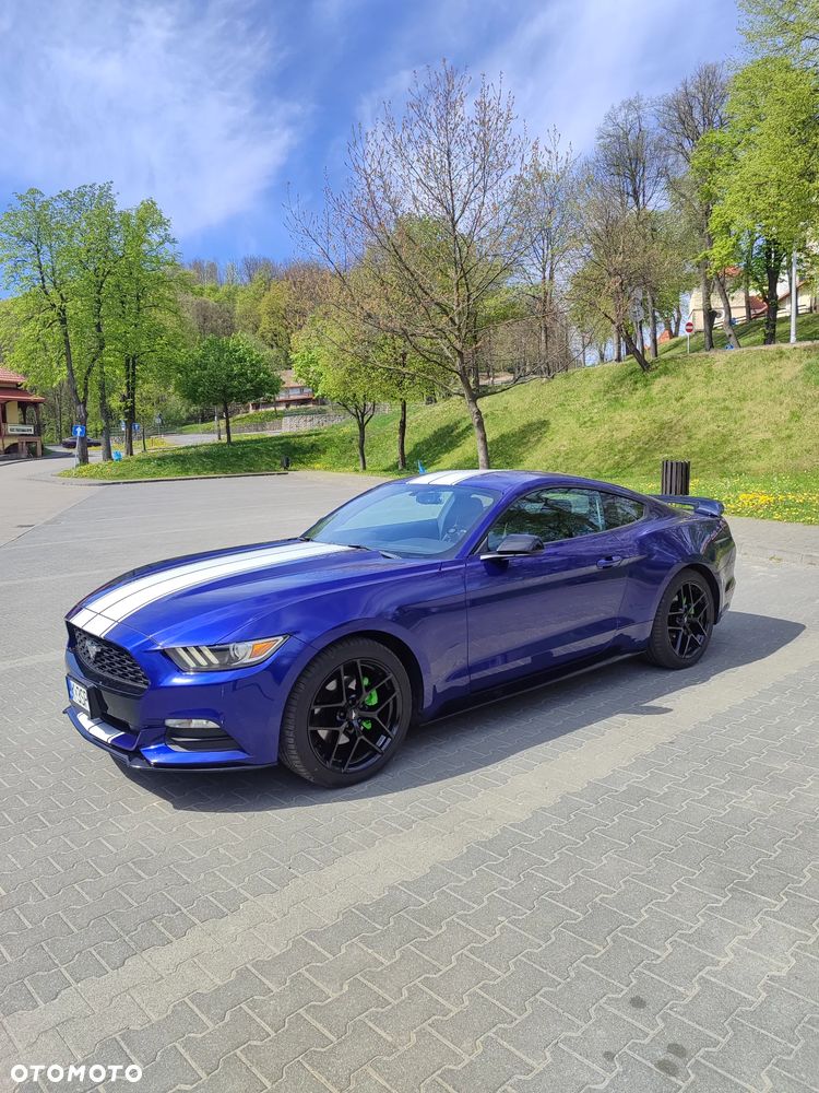 Ford Mustang 3.7 V6 - 16