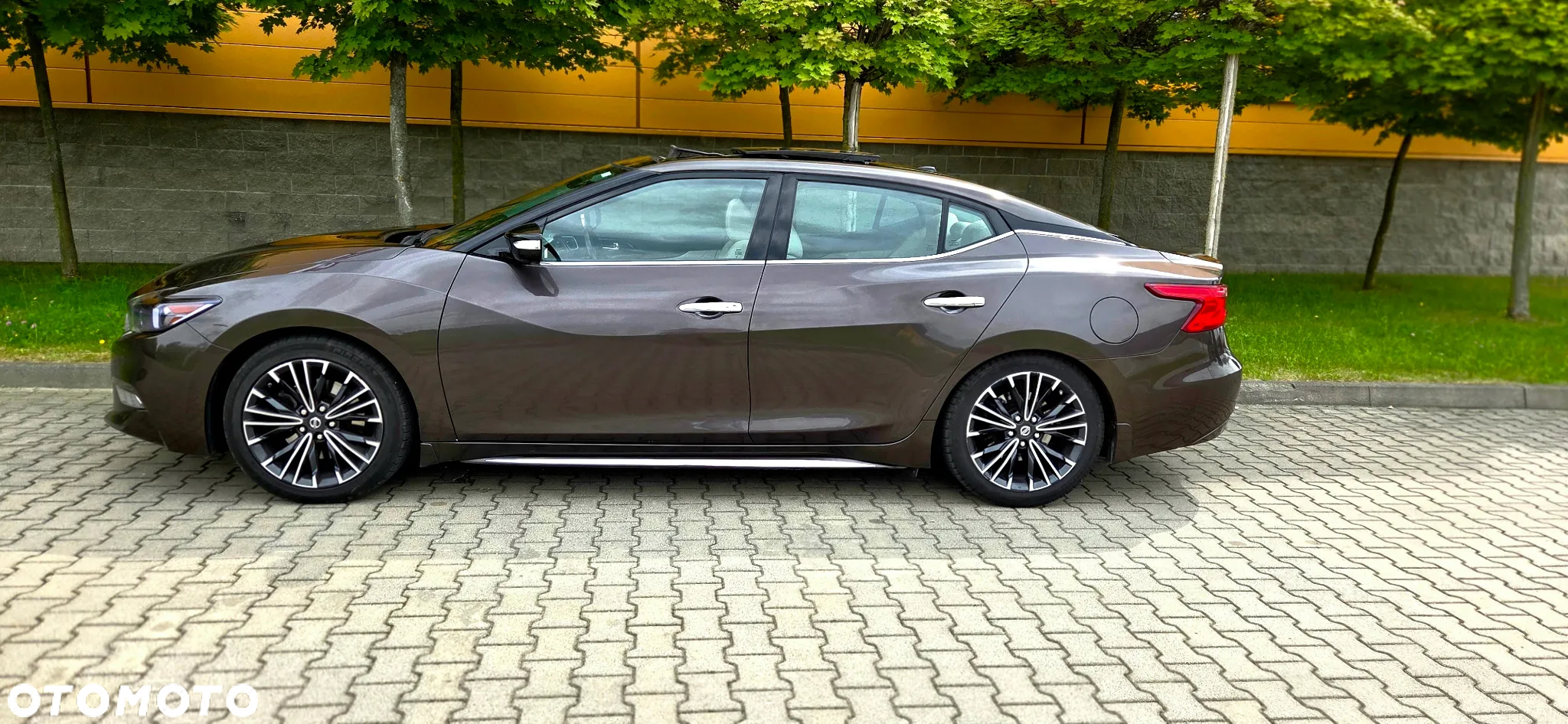 Nissan Maxima - 8
