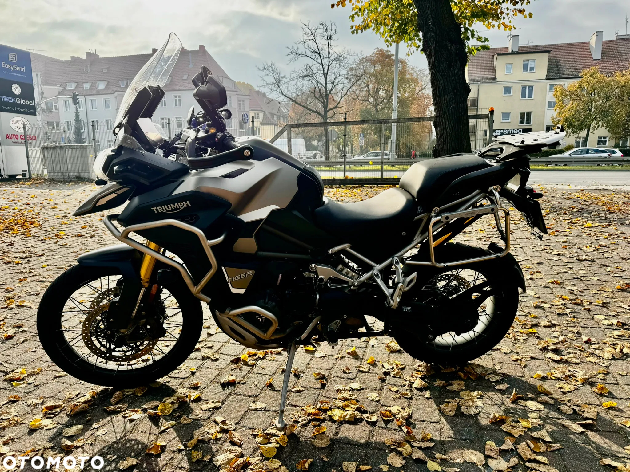 Triumph Tiger - 3