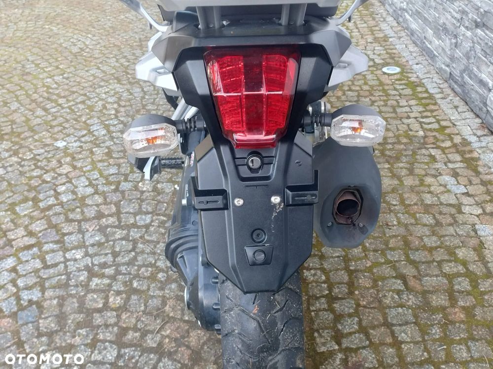 Triumph Tiger - 31
