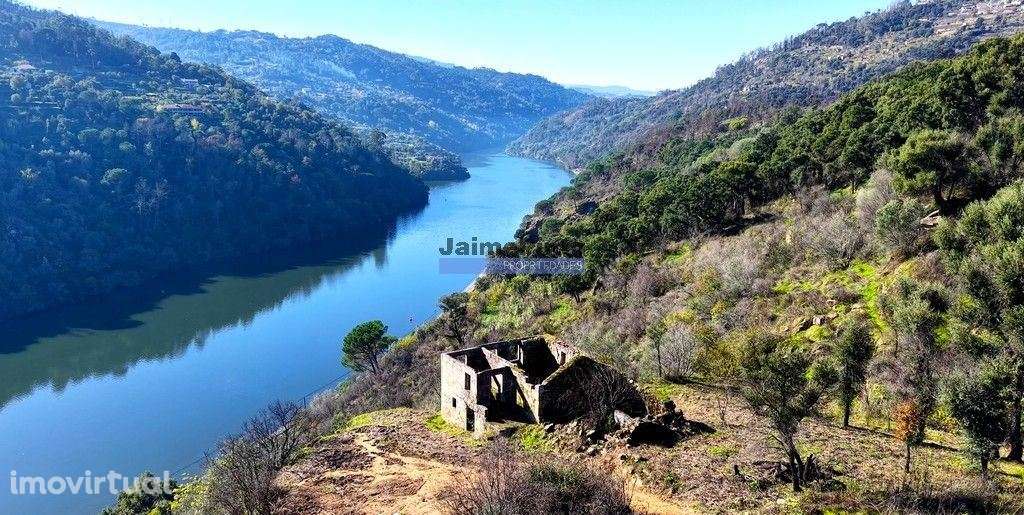 Quinta mini e Ruína, ampla vista rio Douro. Portugal, Norte, Porto,... - Grande imagem: 3/10