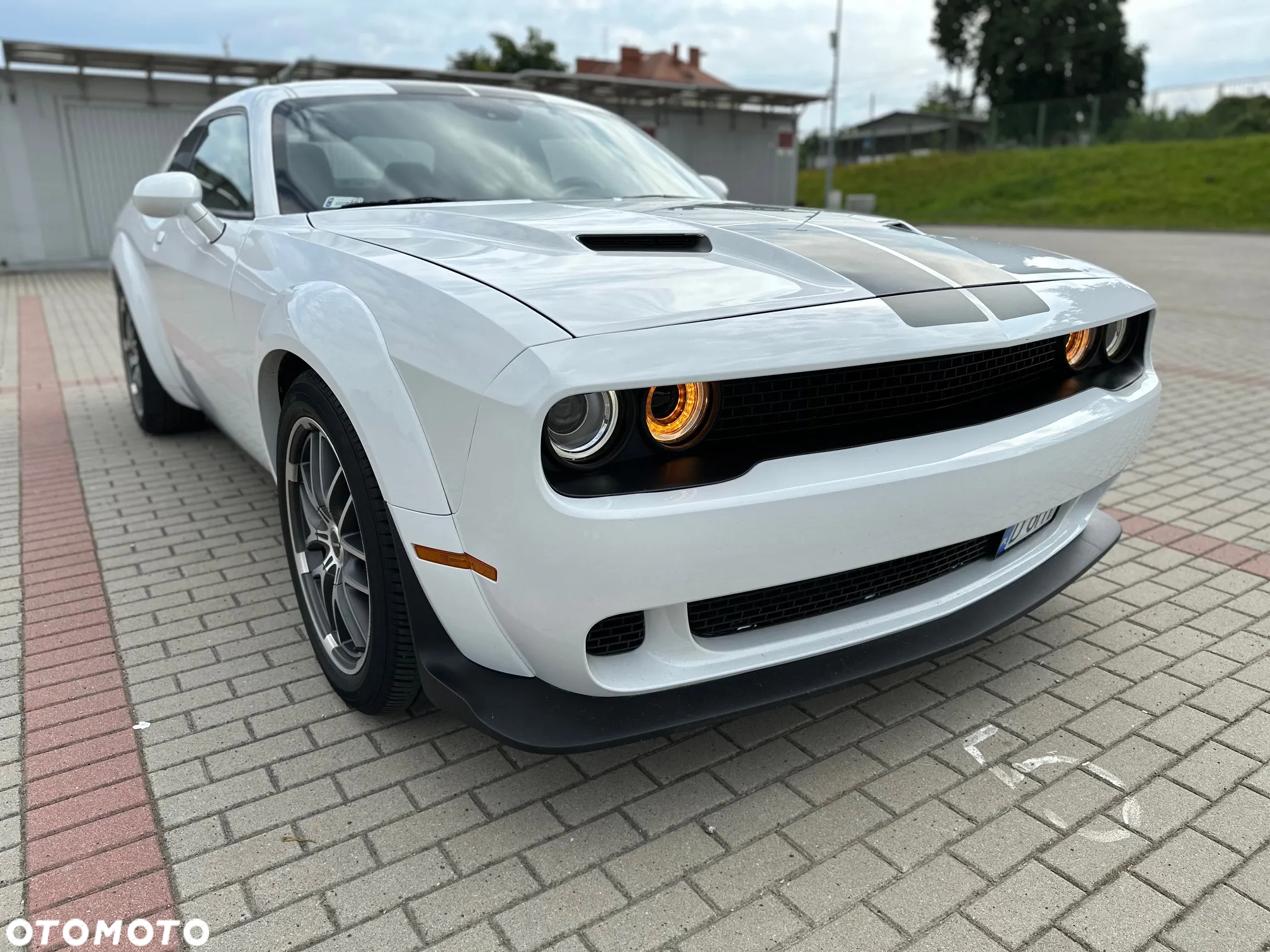 Dodge Challenger 3.6 SXT - 3