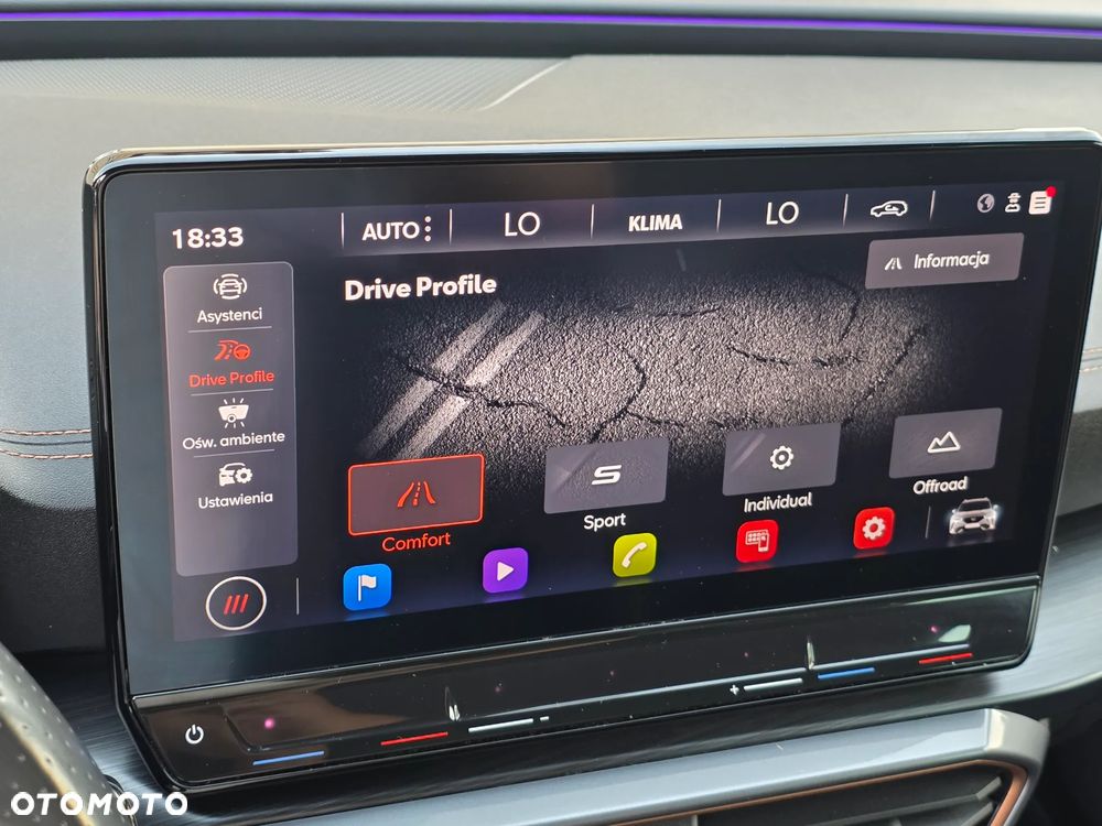 Cupra Formentor 2.0 TDI 4Drive DSG - 22