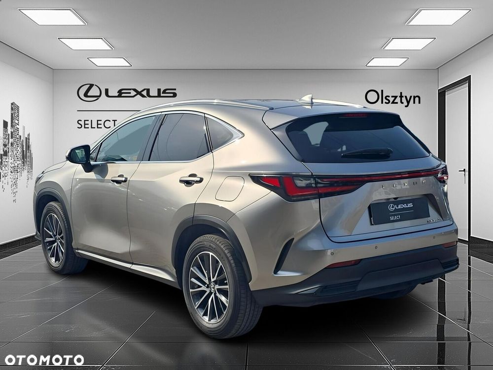Lexus NX 350h Business AWD - 5