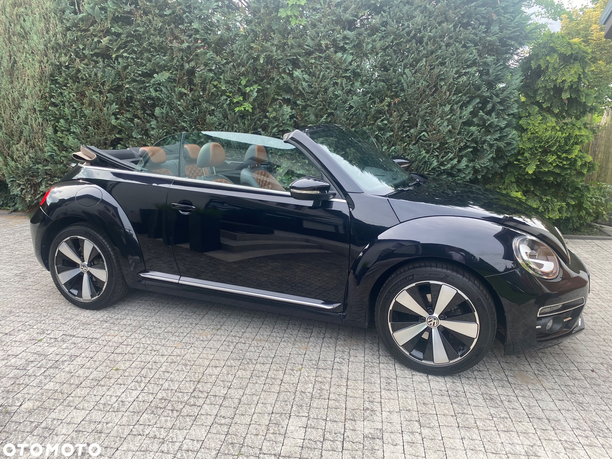 Volkswagen Beetle - 3