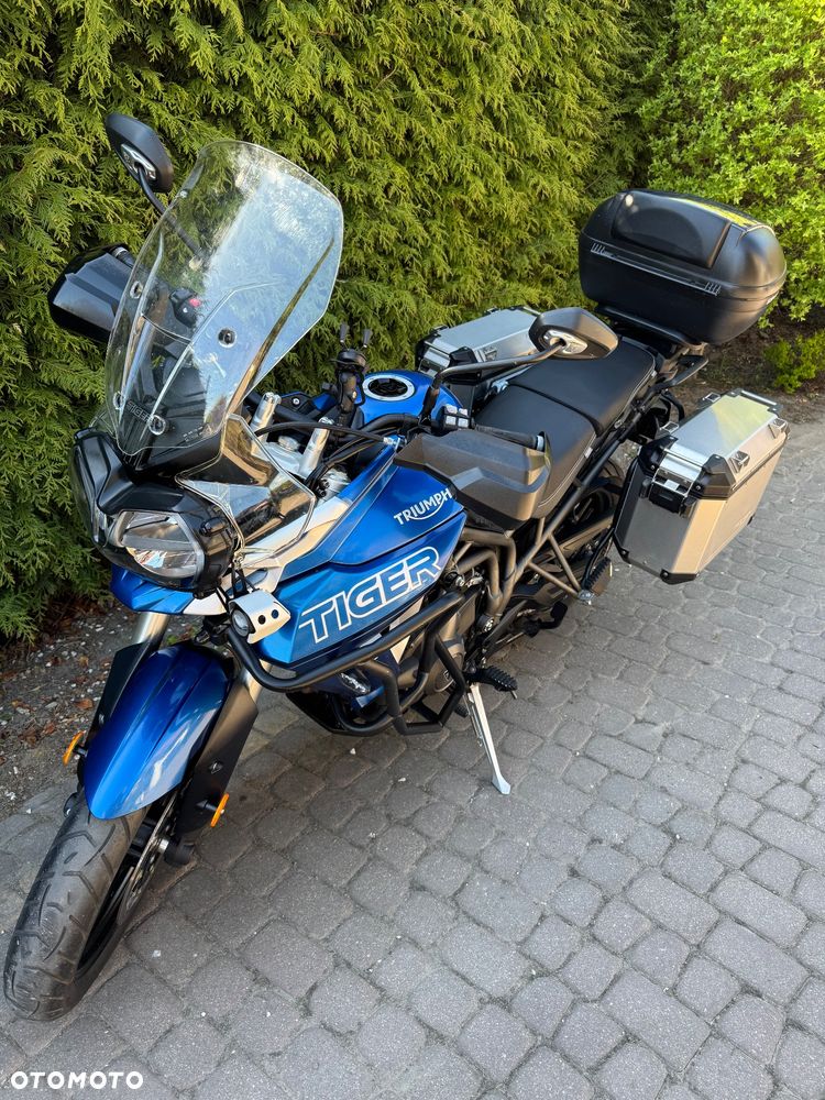 Triumph Tiger - 5