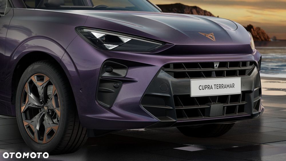 Cupra Terramar - 9
