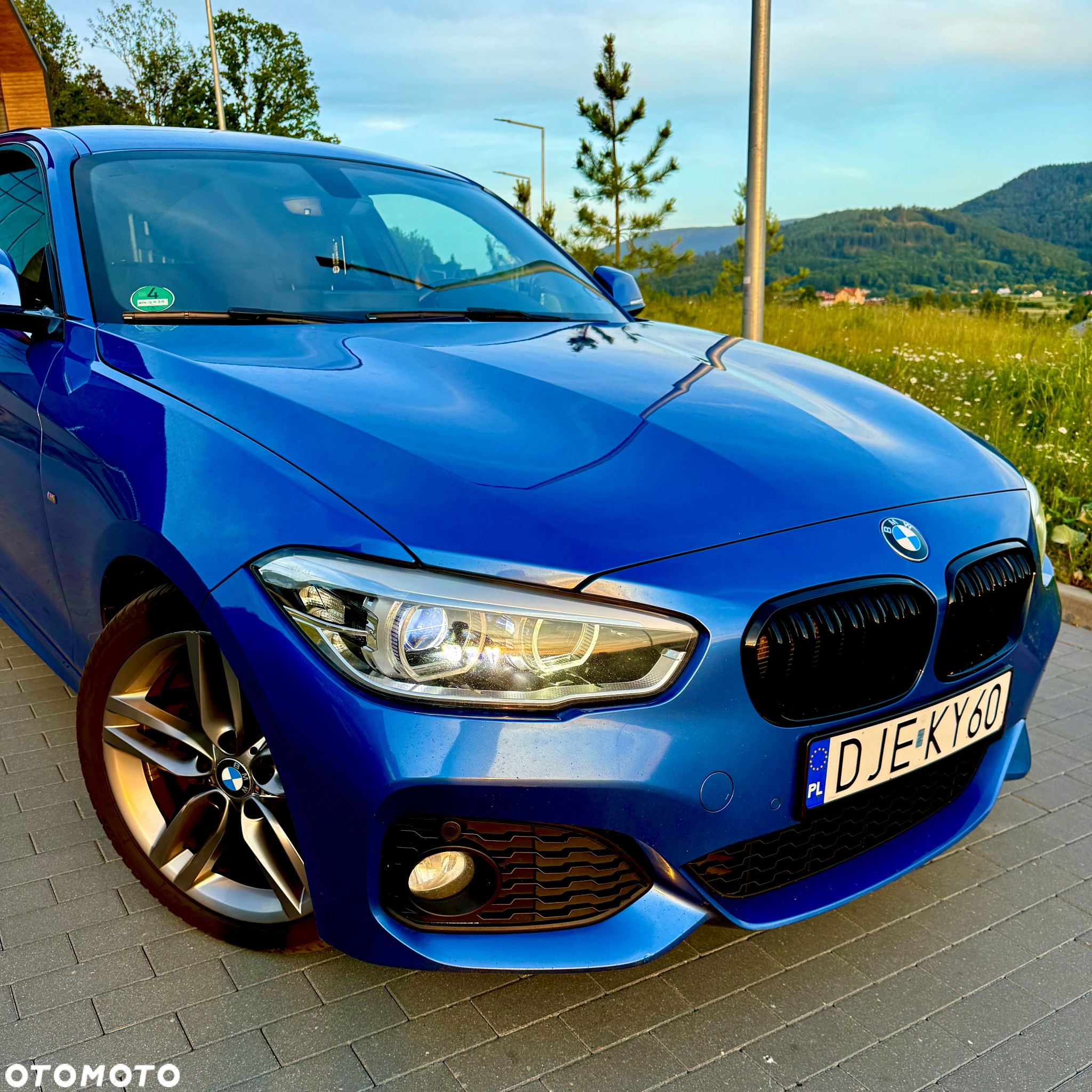 BMW Seria 1 118d Edition M Sport Shadow - 20