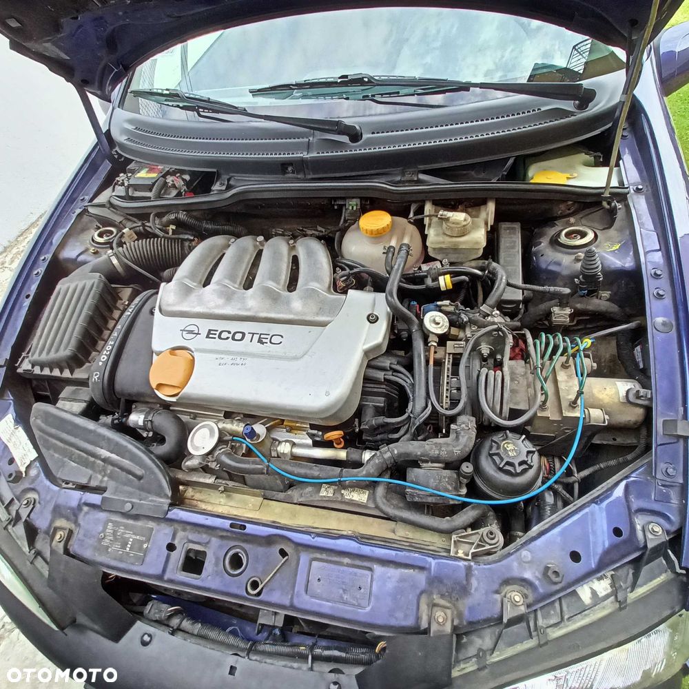 Opel Tigra - 6